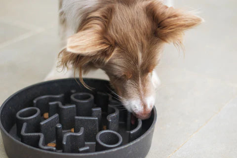 Allergy friendly Dog Treats Lord Jameson