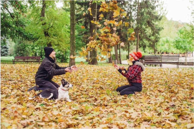 Fall Adventures with Your Dog: The Best Treats for Outdoor Fun