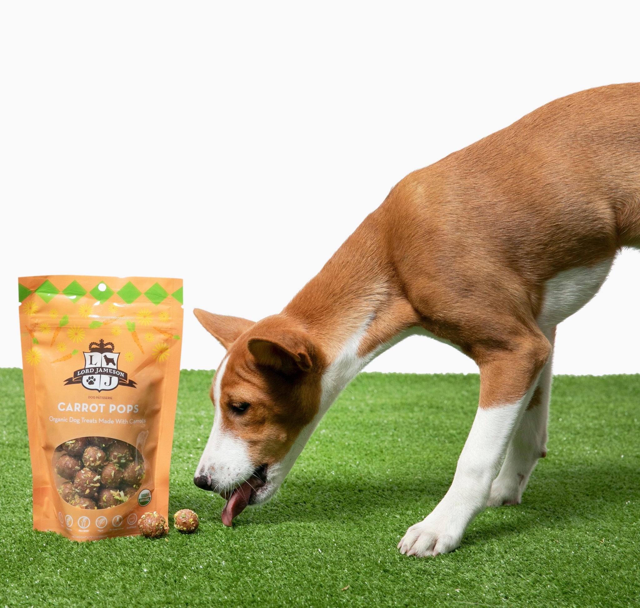 Canine carry out treats bad for dogs best sale