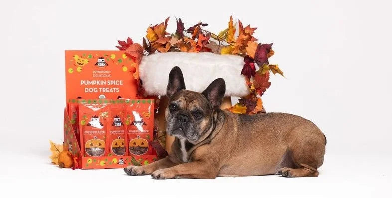 best dog treats for french bulldogs